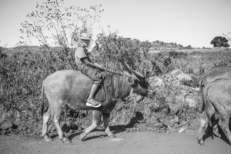 concours photo 2014