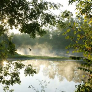Cours photo dans la Loire (42)