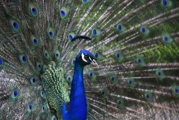 concours-photo-2016