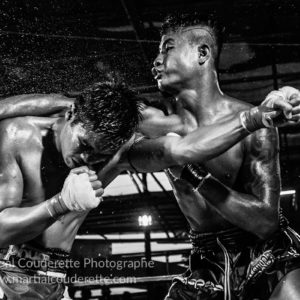 livre lethwei