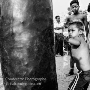 livre lethwei