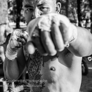 livre lethwei