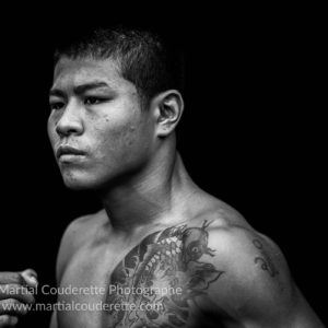 livre lethwei